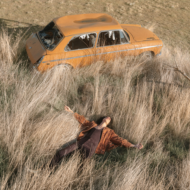 The Plow That Broke the Plains album cover