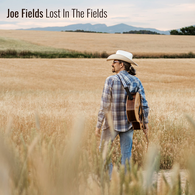 Lost in the Fields album cover