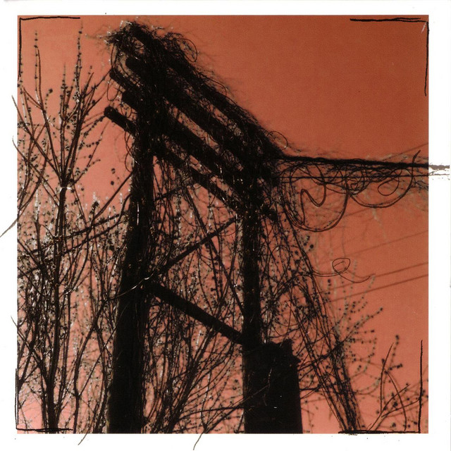 Accidents With Nature And Each Other album cover