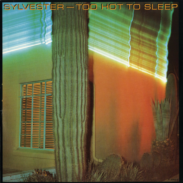 Too Hot To Sleep album cover