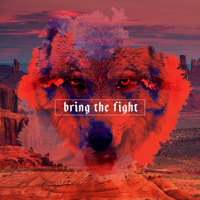 Bring The Fight album cover