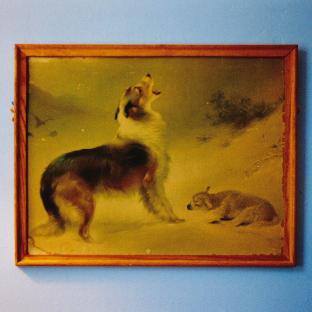 Electro-Harmonix  Super Pulsar as heard on Day Six (Remastered) by Explosions in the Sky (2005)