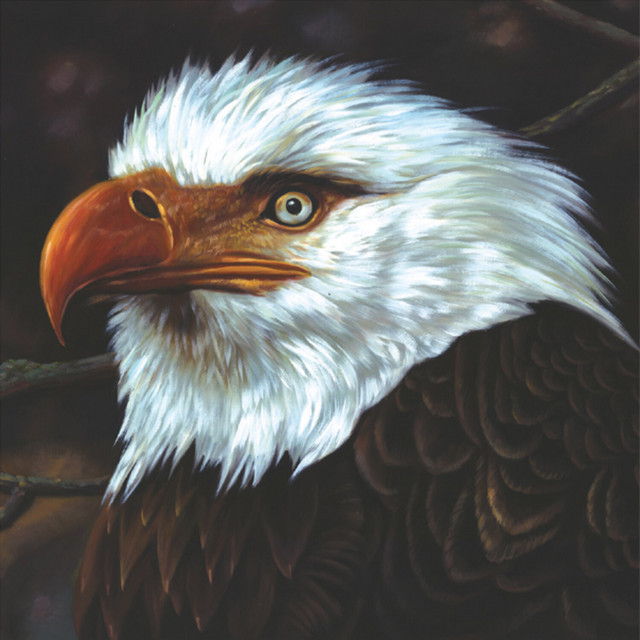 The Hawk Is Howling album cover