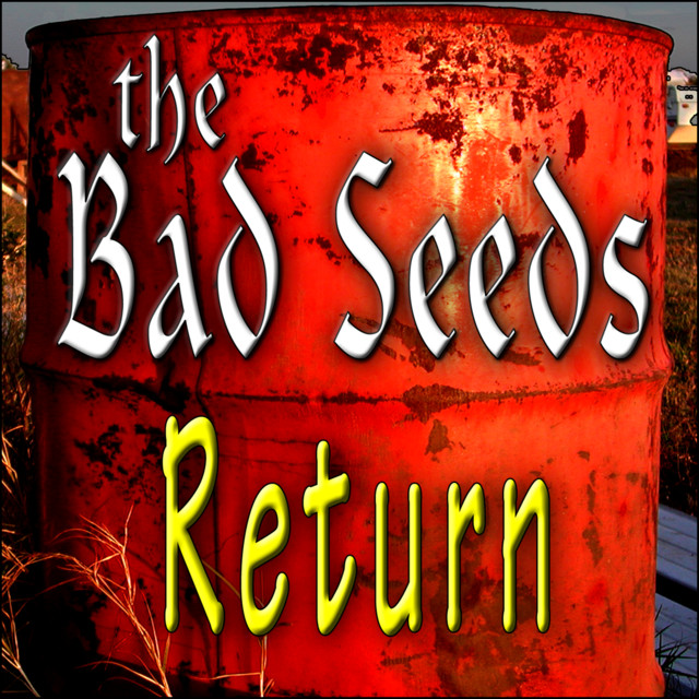 The Bad Seeds Return album cover