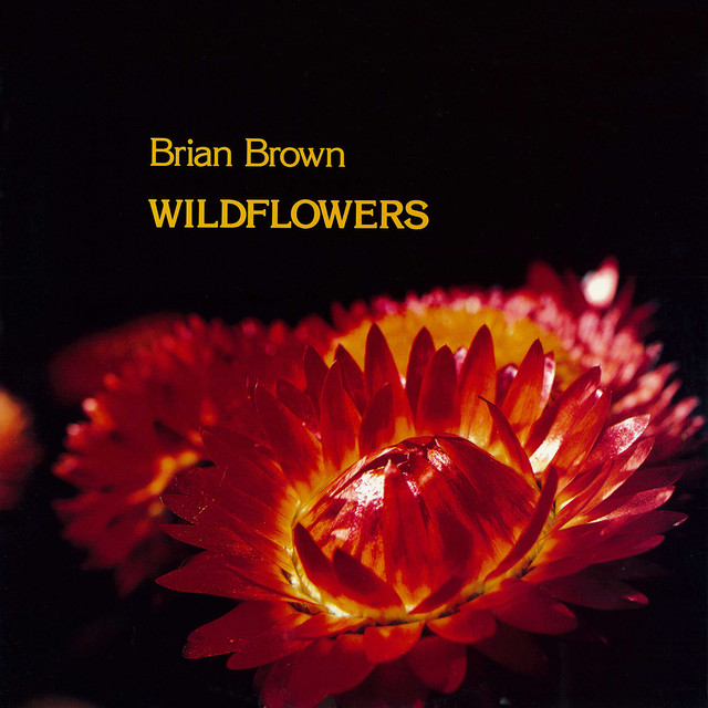 Wildflowers album cover