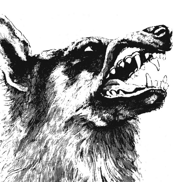 I, Vigilante album cover