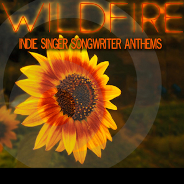 Wildfire: Indie Singer Songwriter Anthems album cover