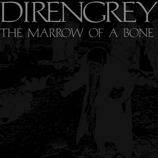 THE MARROW OF A BONE album cover
