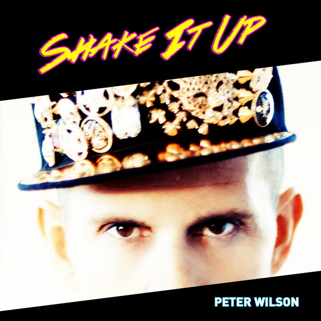 Shake It Up album cover