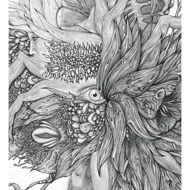 Dragonfly CG-7 as heard on 輪郭 by Dir En Grey (2012)