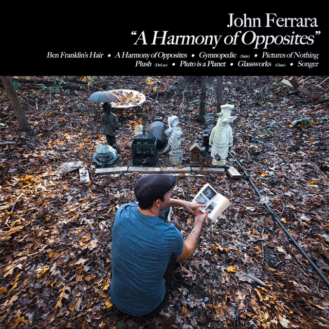 A Harmony of Opposites album cover