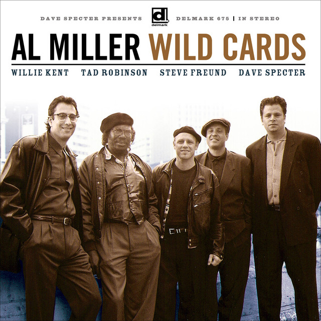Wild Cards album cover