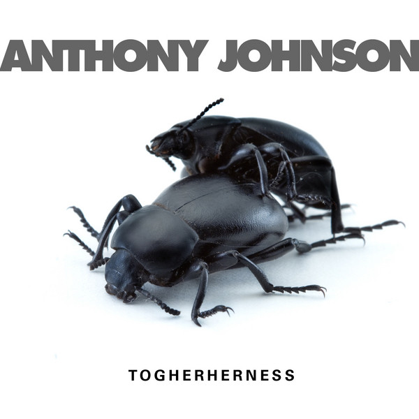 Togetherness album cover