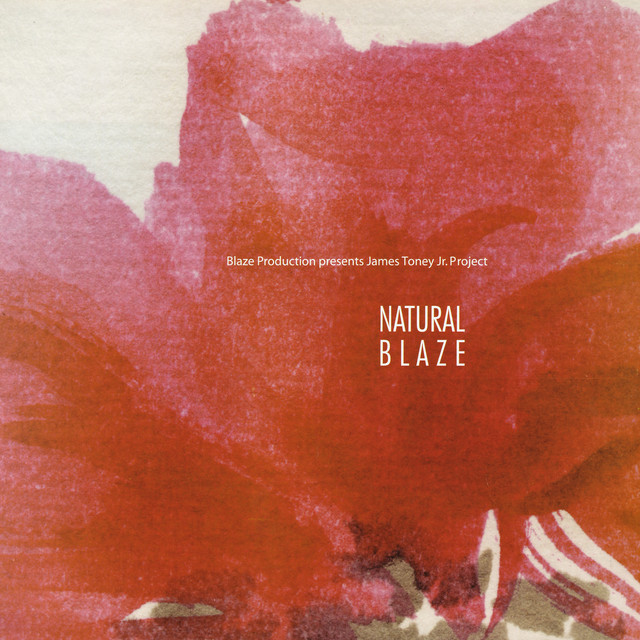 Natural Blaze album cover