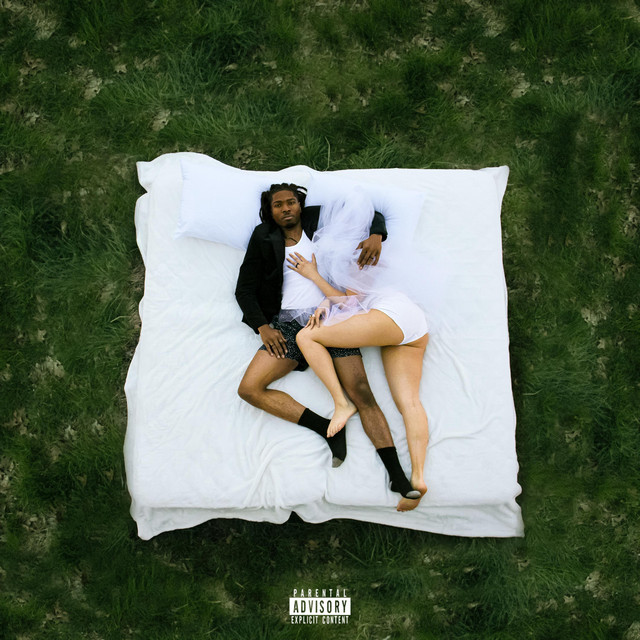 BIRDS I VIEW album cover