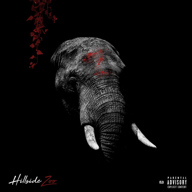 Hillside Zoo album cover