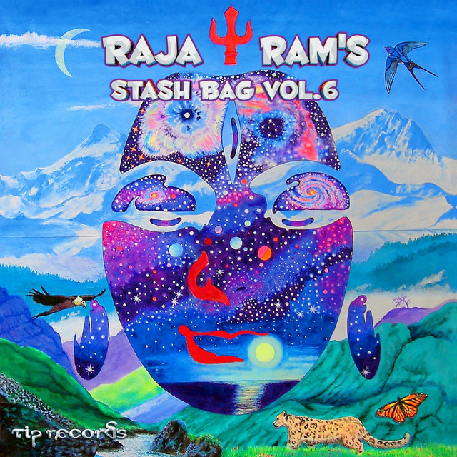 Stash Bag, Vol. 6 album cover