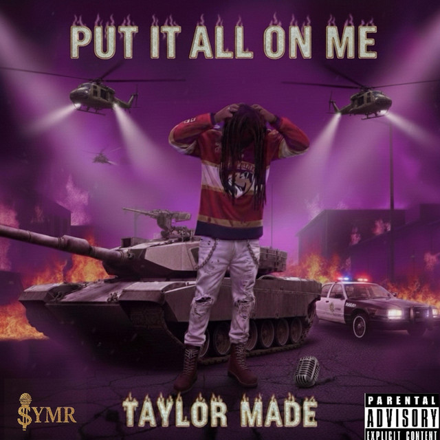 Put It All on Me album cover