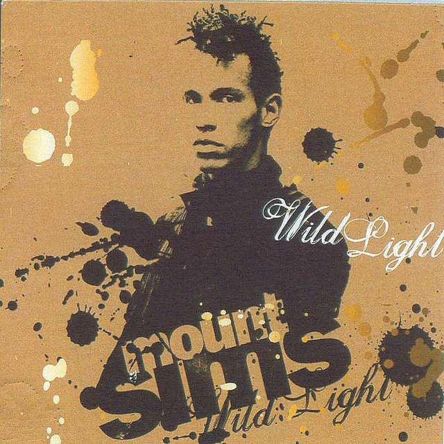 Wild Light album cover