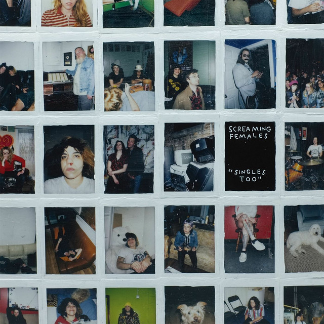 Singles Too album cover