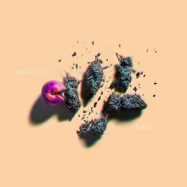 MRNI album cover