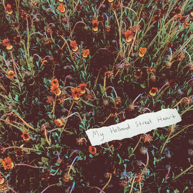 My Holland Street Heart album cover