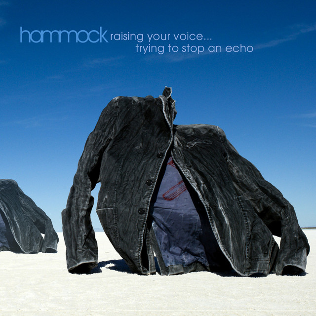 Raising Your Voice... Trying to Stop an Echo album cover