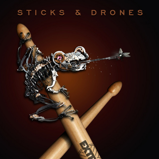 Sticks & Drones album cover