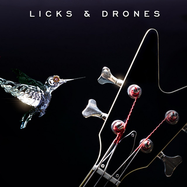 Licks & Drones album cover
