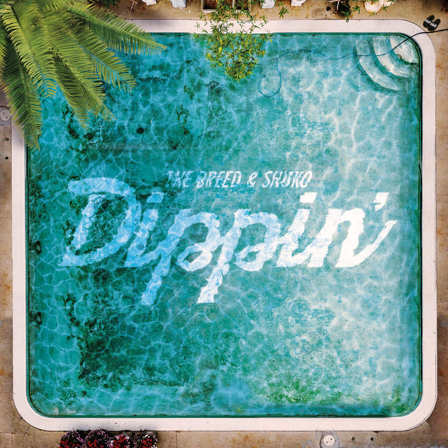 Dippin' album cover