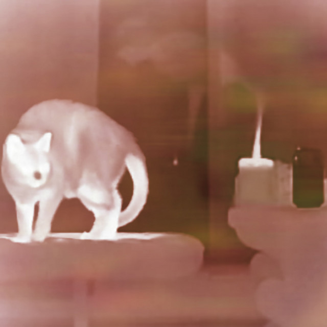 Nightvision album cover