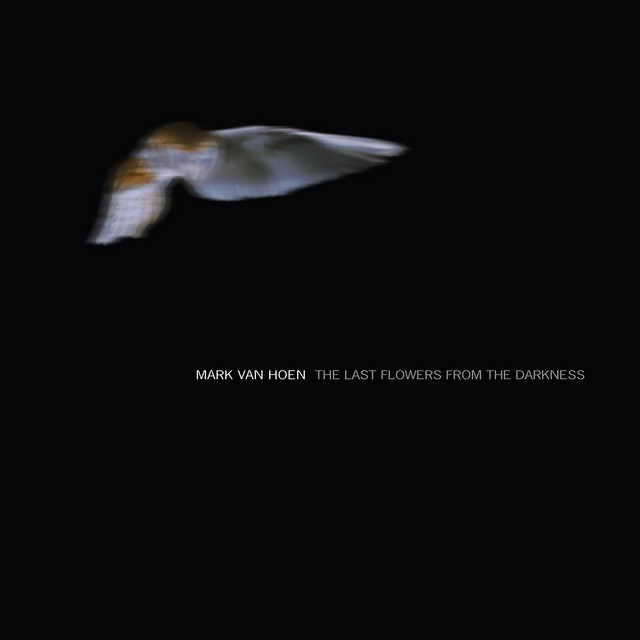 The Last Flowers from the Darkness album cover