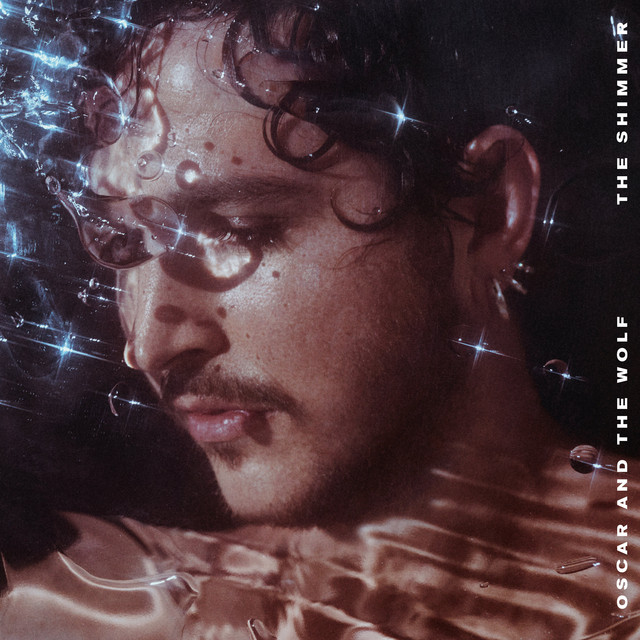 The Shimmer album cover