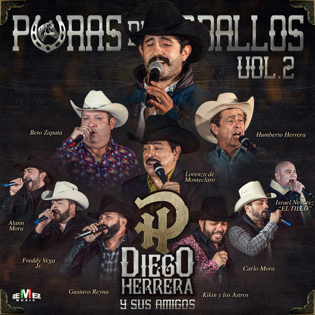 Diego Herrera y Sus Amigos - Puras de Caballos Vol. 2 album cover
