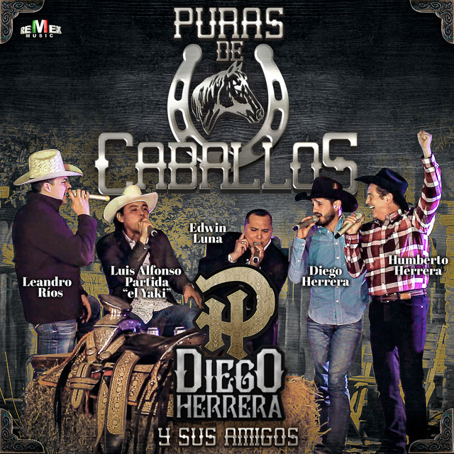 Diego Herrera y Sus Amigos - Puras de Caballos album cover