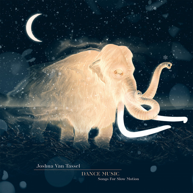 Dance Music (Songs for Slow Motion) album cover