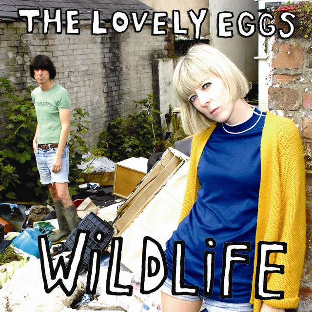 Wildlife album cover