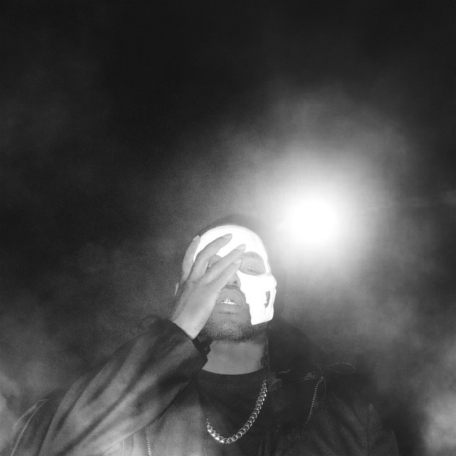 THE FIRE album cover