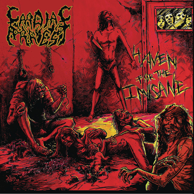 Haven for the Insane album cover