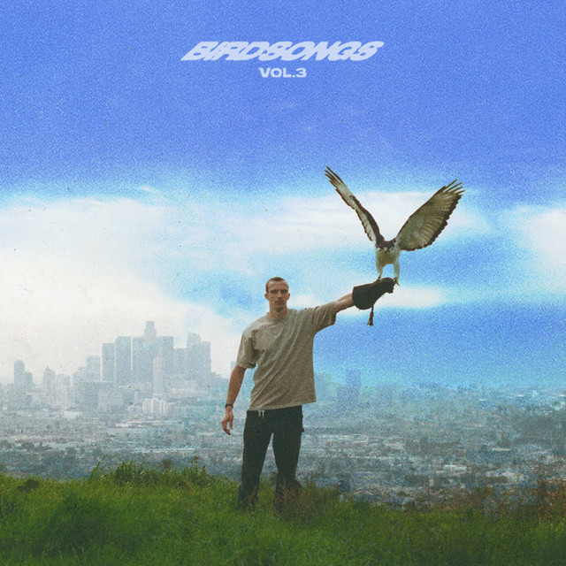 BIRDSONGS, Vol. 3 album cover