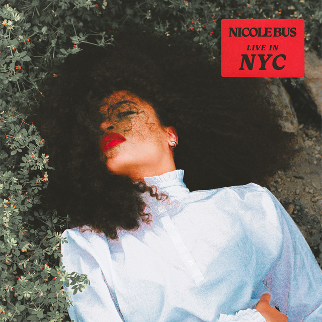 Live In NYC album cover