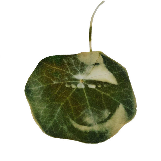 opteracore the movie album cover