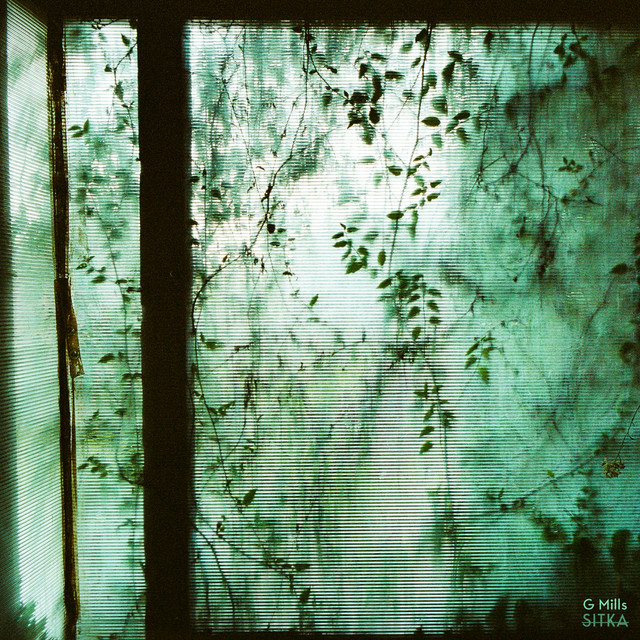 Sitka album cover
