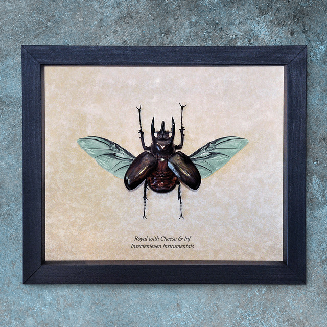 Insectenleven Instrumentals album cover