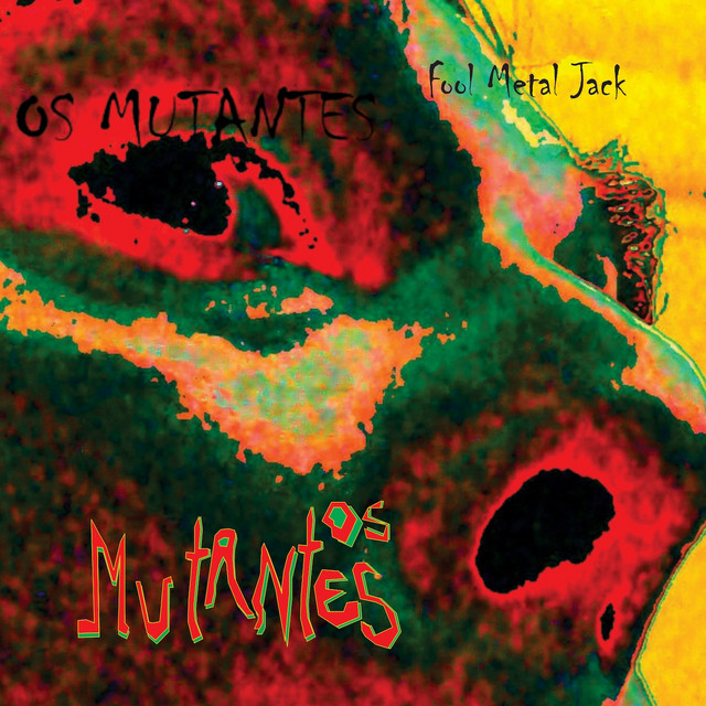 Fool Metal Jack album cover