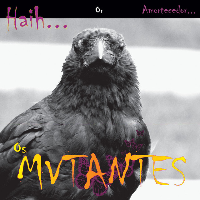 Haih or Amortecedor album cover