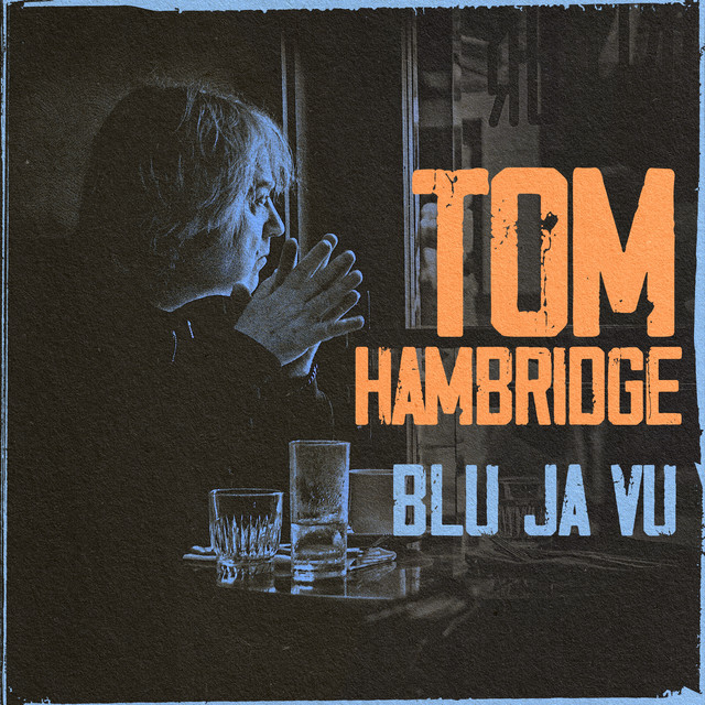 BLU JA VU album cover