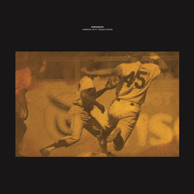 Roadwork, Vol. 4: Intrepid Skronk (Live In Europe 2008-2010) album cover