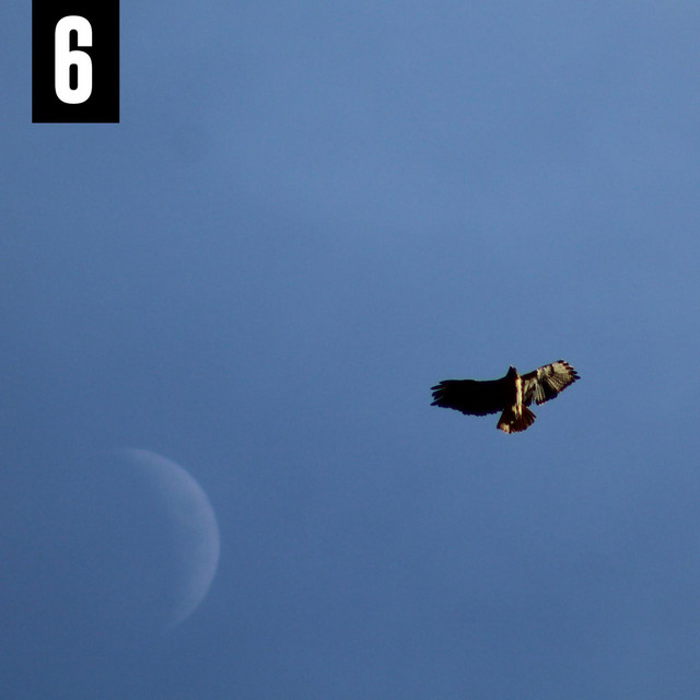 6 album cover