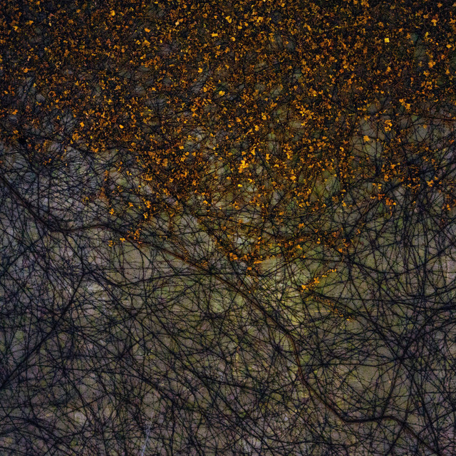 Unbound album cover